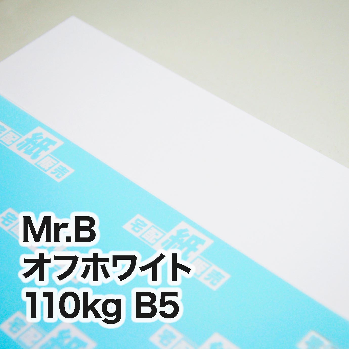 Mr.B オフホワイト・110kg　B5（182×257mm）