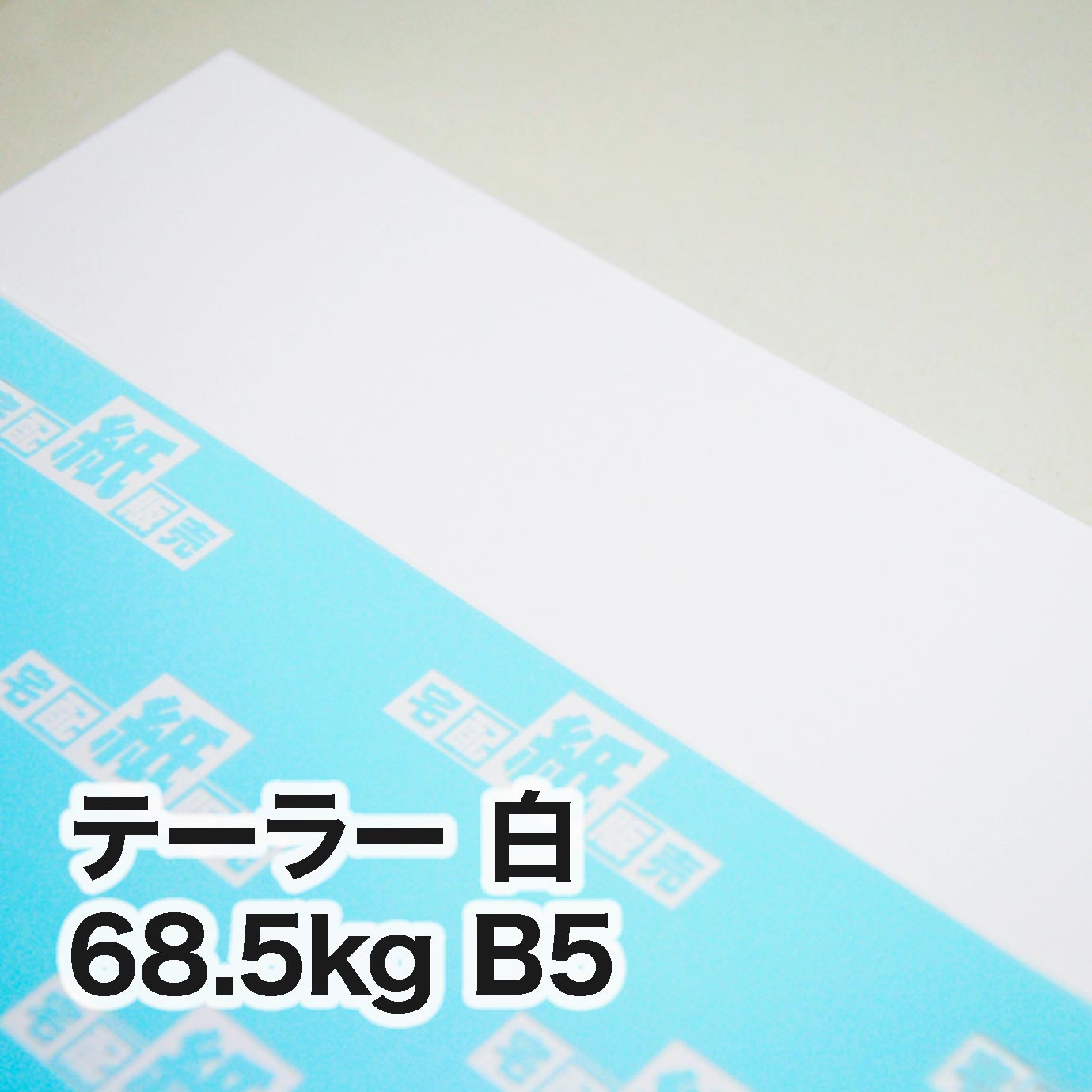 テーラー 白・68.5kg　B5（182×257mm）