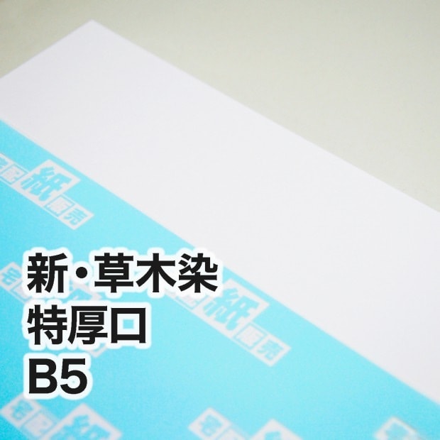 新・草木染・特厚口　B5（182×257mm）