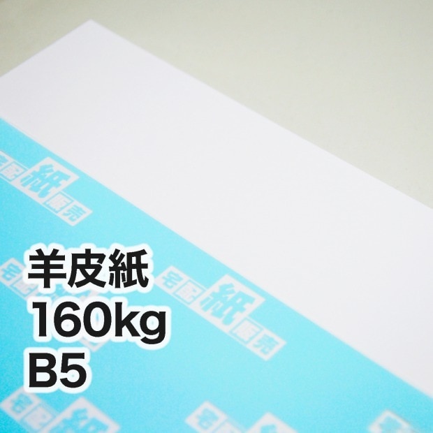 羊皮紙・160kg　B5（182×257mm）