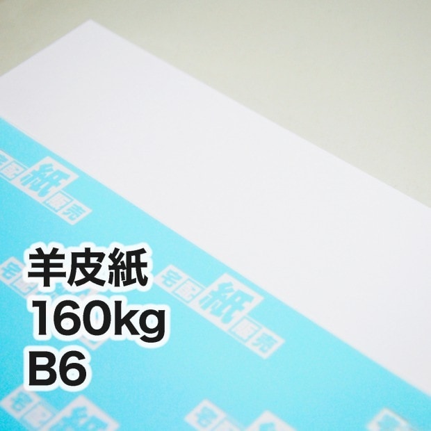 羊皮紙・160kg　B6（128×182mm）