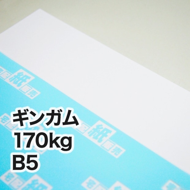ギンガム・170kg　B5（182×257mm）
