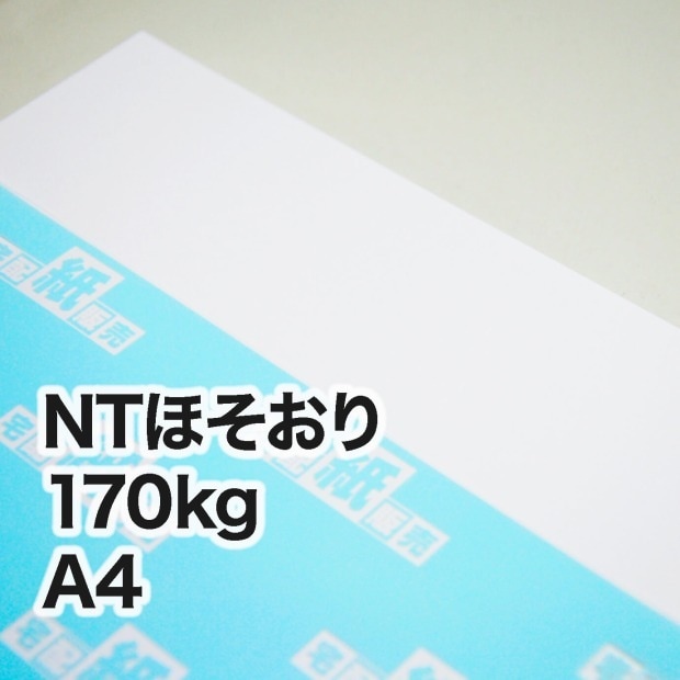 NTほそおり・170kg　A4（210×297mm）