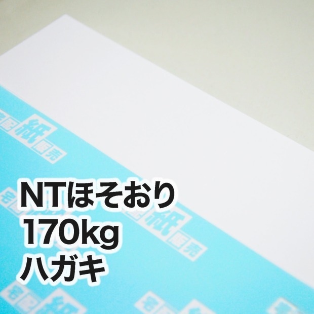NTほそおり・170kg　ハガキ（100×148mm）
