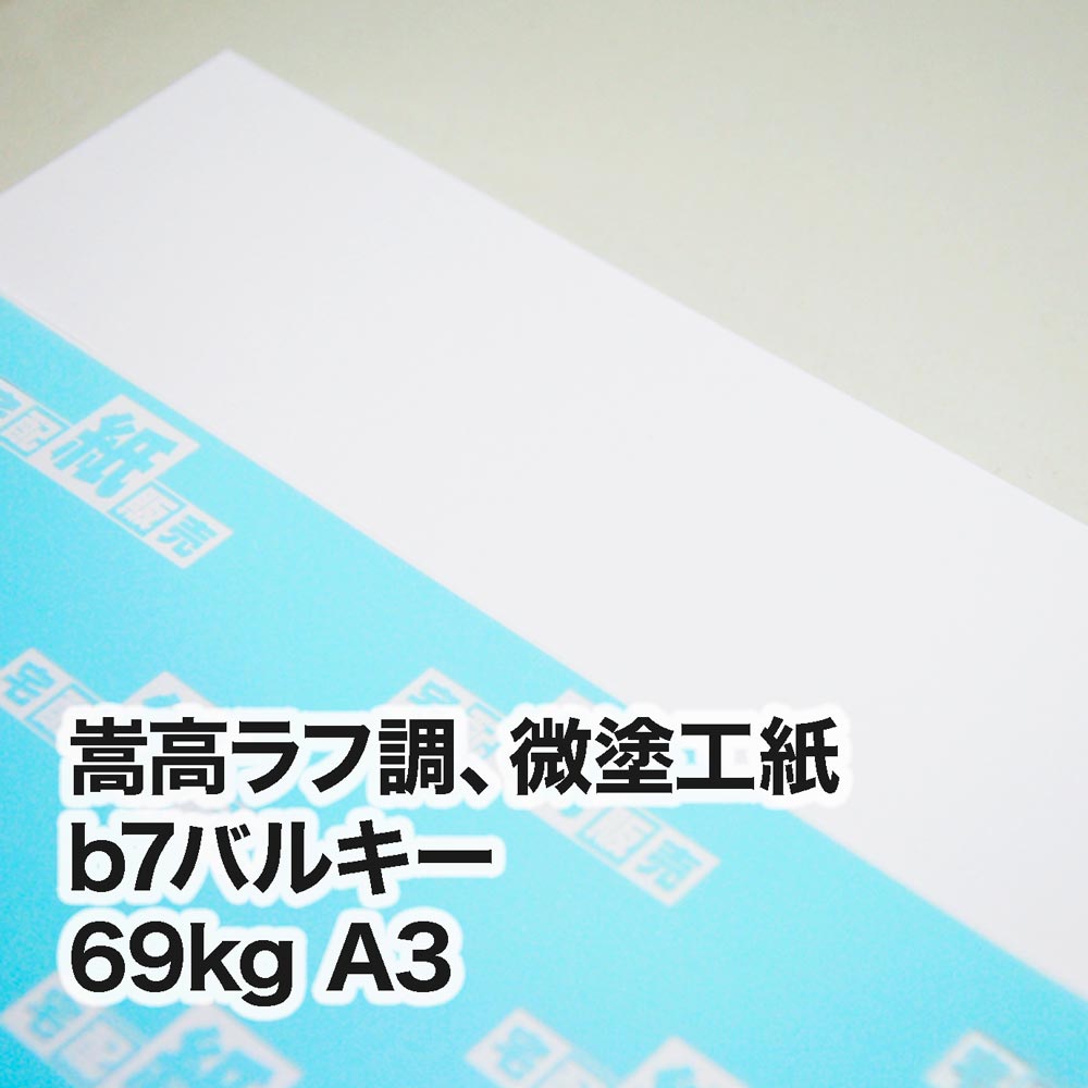 b7バルキー・69kg　A3（297×420mm）