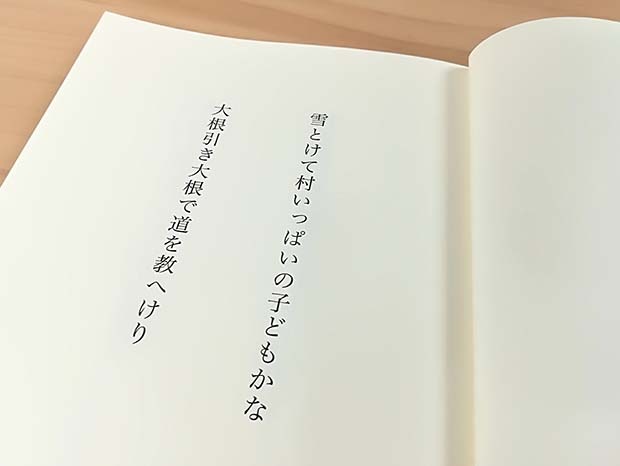100句で俳句集 カバー付き文庫本タイプ＜100句掲載句集、2句立/ページ