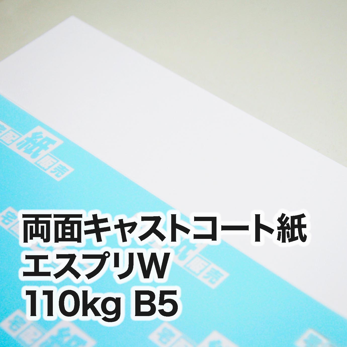 両面キャストコート エスプリW・110kg　B5（182×257mm）