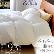 �ڥץ�ߥ��ॴ����ɡۤ�����193�ߥ�ε�ˤΥ��ʥ� �ץ�ߥ���ۥ磻��