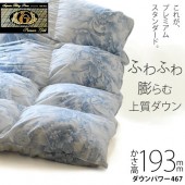 �ǹ��ڤ�����193mm�ۥץ�ߥ��ॴ����ɥ�٥뱩�����ĥץ�ߥ��ॴ����ɥ�٥롡�ե����