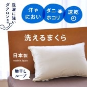  ǥ饤  ܥ塼¿ 4363cm ӥʻ   å֥