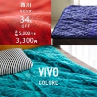 ӥ󥰡ۤʤ餫ȩȥӥӥåȤȯ vivo COLORE ߤѥå 󥰥륵  ߤ