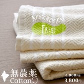 �����륱�å� ���󥰥� ���� ��100�� ̵�������åȥ� �ץ쥪�����˥å����åȥ� �����ӥ�