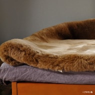 ࡼȥ󥷡 󥰥/ߥ֥/֥ ֥ץ  ࡼȥ