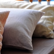 ͥ󥷡 󥰥 ե󥹥ͥ  Ṿ ݤС ʤ