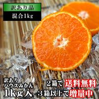 ھֹ棳̪硡ʡ󣱣
