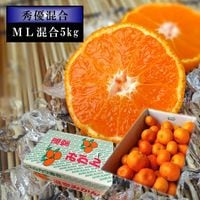 ھֹ棳̪쥮顼Ȣ̥ͣͥʡ󣵣