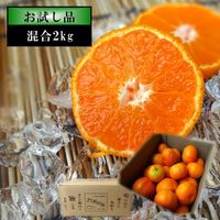 �ھ����ֹ棲���ۡڥݥ����10�ܡۡ�������3kg�����̤���륭���ڡ���»����̪��������Ȣ�����������硡����ʡ��󣲣����