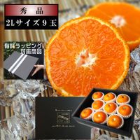 ھֹ棰̪βȢ̥ʡ