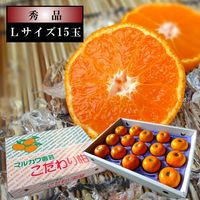 ھֹ棱̪βȢ̥ʡ