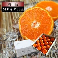 ھֹ棱̪ΥեȢͥʡ