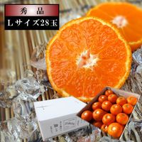 �ھ����ֹ棱����̪��������Υ��ե�Ȣ���̥����������ʡ���������