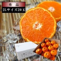 �ھ����ֹ棱����̪��������Υ��ե�Ȣ�����̥����������ʡ���������