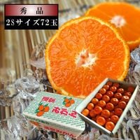 �ھ����ֹ棱����̪�������쥮��顼Ȣ�����ӥ����������ʡ���������