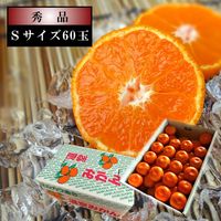 �ھ����ֹ棲����̪�������쥮��顼Ȣ���ӥ����������ʡ���������