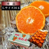 ھֹ棲̪쥮顼Ȣ̥ʡ