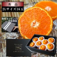 ھֹ棱̪βȢˡ̥ʡ