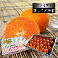 ھֹ棶̪ץߥࡡβȢӥ̼£