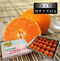 ھֹ棶̪ץߥࡡβȢ̼ͥ£