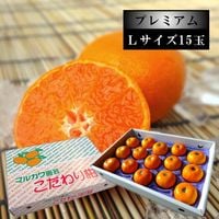 ھֹ棶̪ץߥࡡβȢ̥̼£