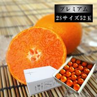 ھֹ棶̪ץߥࡡΥեȢӥ̼£