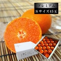 ھֹ棶̪ץߥࡡΥեȢӥ̼£