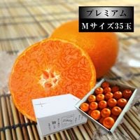 ھֹ棶̪ץߥࡡΥեȢ̼ͥ£