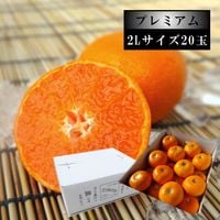 ھֹ棶̪ץߥࡡΥեȢ̥̼£