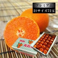 ھֹ棶̪ץߥࡡ쥮顼Ȣӥ̼£
