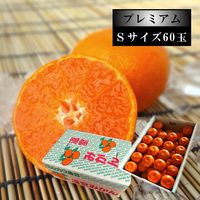 ھֹ棷̪ץߥࡡ쥮顼Ȣӥ̼£