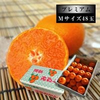 ھֹ棷̪ץߥࡡ쥮顼Ȣ̼ͥ£