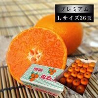 ھֹ棷̪ץߥࡡ쥮顼Ȣ̥̼£