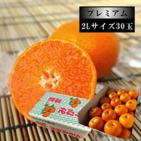 ھֹ棷̪ץߥࡡ쥮顼Ȣ̥̼£