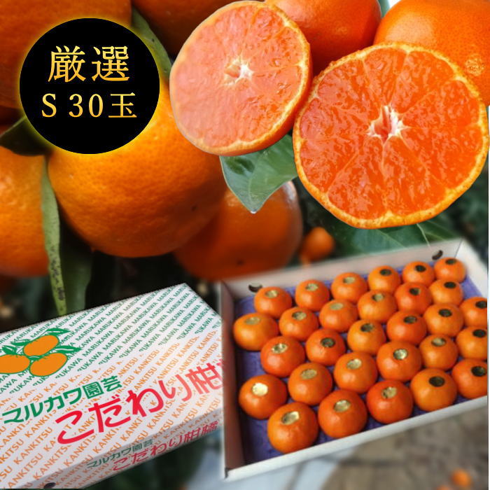 11月中旬～】蜜ツ丸（マルチ完熟早生みかん） | こだわり農家の