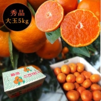 ھֹ棱̪Ĵݡ쥮顼Ȣ̥ʡ󣵣