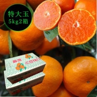 ھֹ棱̪Ĵݡ쥮顼Ȣ̥ʡ󣵣Ȣå