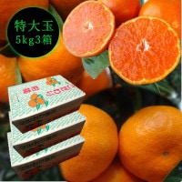 ھֹ棱̪Ĵݡ쥮顼Ȣ̥ʡ󣵣Ȣå