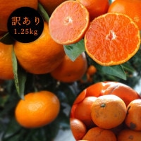 ھֹ棱̪Ĵݡ硡ʡ󣱡