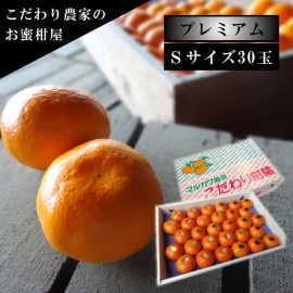 �ھ����ֹ棱�����۽���̣������β���Ȣ���ӥ������������ץ�ߥ��ࡡ��������