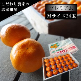 �ھ����ֹ棱�����۽���̣������β���Ȣ���ͥ������������ץ�ߥ��ࡡ��������