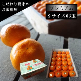 �ھ����ֹ棱�����۽���̣�����쥮��顼Ȣ���ӥ������������ץ�ߥ��ࡡ��������